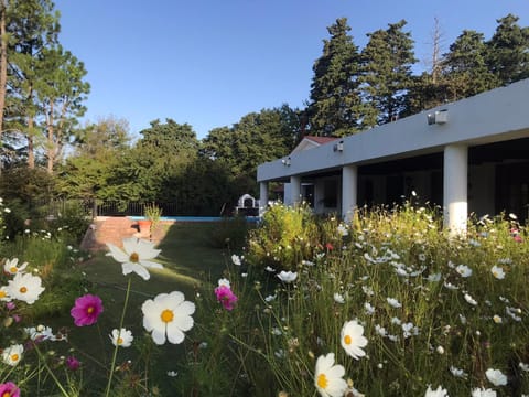 Garden, Garden view