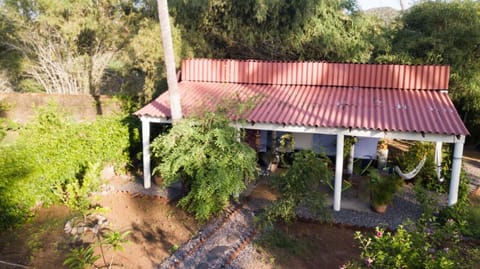 Property building, Garden, Garden view