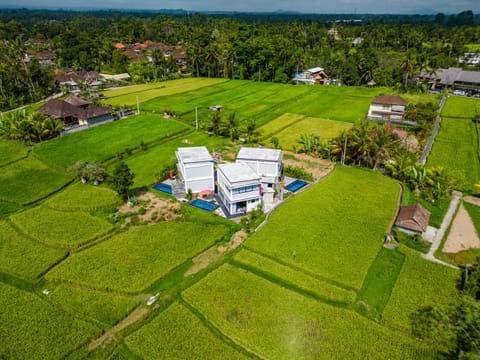 Property building, Nearby landmark, Spring, Day, Natural landscape, Bird's eye view, Garden, Garden, Garden view, Pool view, Swimming pool