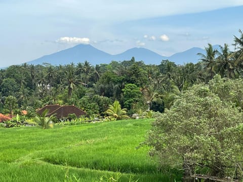 Nearby landmark, Day, Natural landscape, View (from property/room), View (from property/room), Mountain view