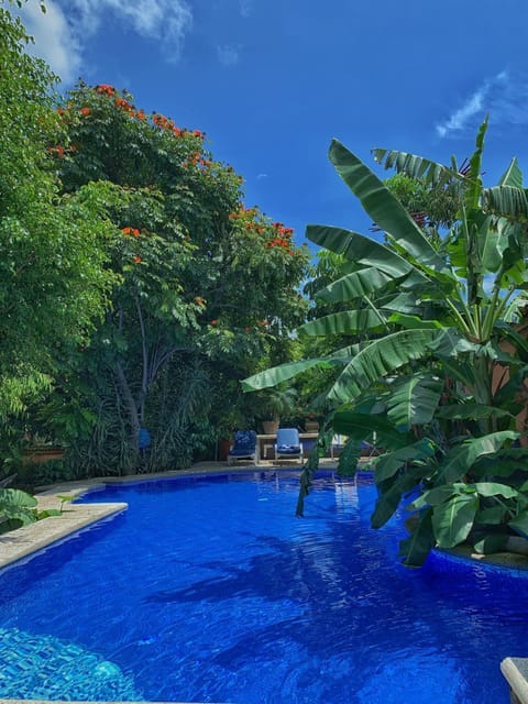 Garden view, Pool view, Swimming pool