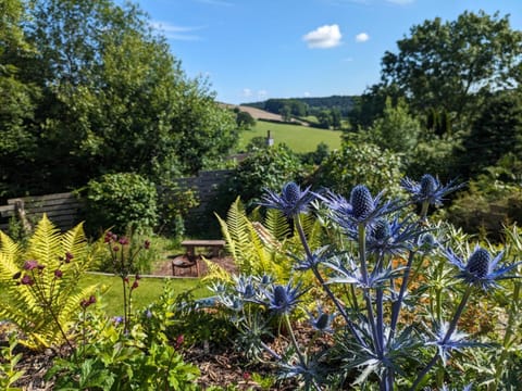 Natural landscape, Garden, Garden view