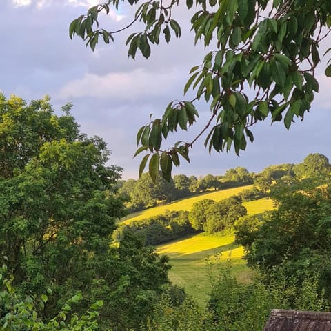 View (from property/room)