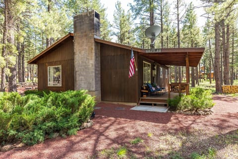 Beat The Heat, Book Now! Rogue Bear Cabin House in Parks
