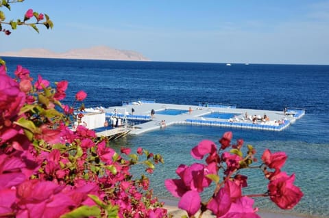 GRACE HOUSE DOMINA CORAL BAY Condo in Sharm El-Sheikh