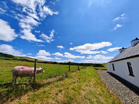 Property building, Spring, Day, Natural landscape