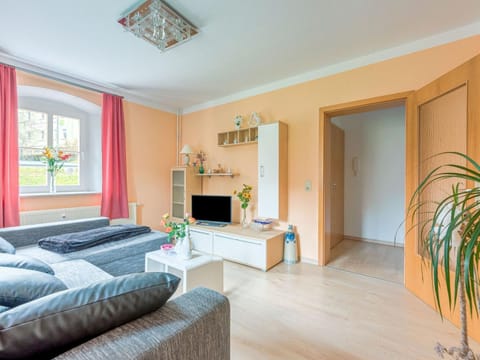 Apartment in Rauschenbach Saxony near Forest Condo in Erzgebirgskreis