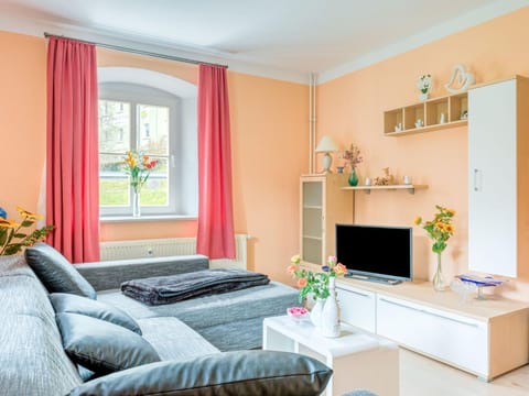 Apartment in Rauschenbach Saxony near Forest Condo in Erzgebirgskreis