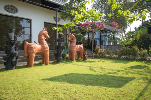 Day, Garden, Garden view