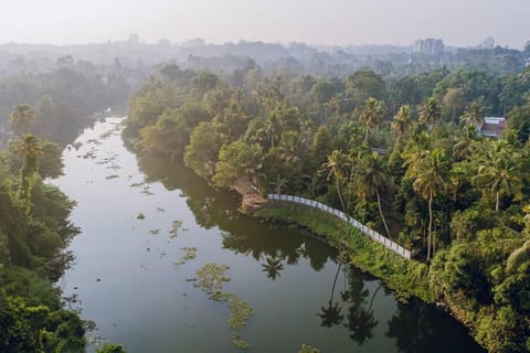 Bird's eye view, River view