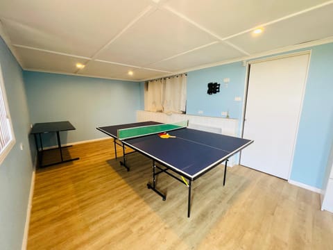 Game Room, Table tennis, Table tennis