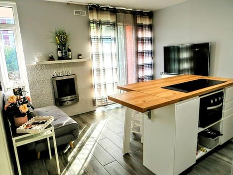 TV and multimedia, Kitchen or kitchenette, Living room, Dining area, pet friendly, stove