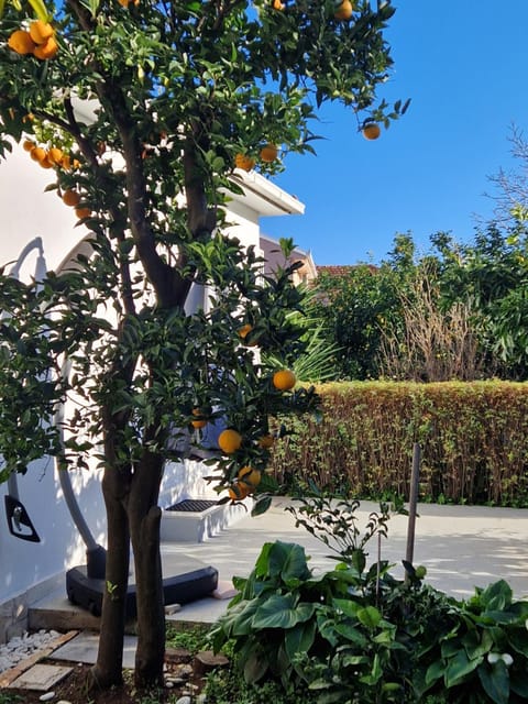 Spring, Garden view