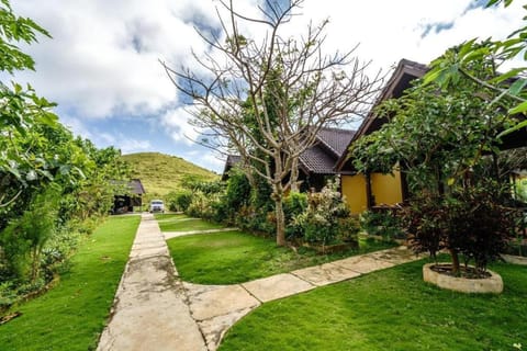 Natural landscape, Garden, Mountain view