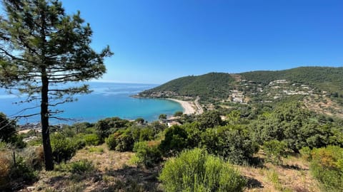 Landmark view, Sea view, Location