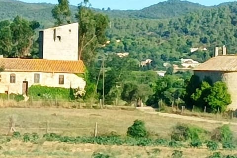 Masía Catalana del siglo XVI. House in Baix Empordà