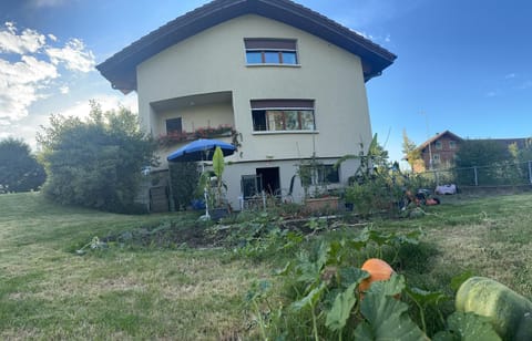 Property building, Day, Garden, Garden, Garden view