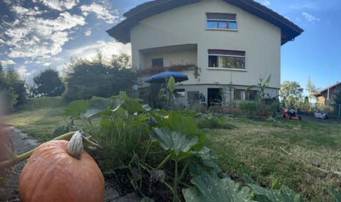 Property building, Day, Garden, Garden view