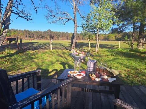 Spring, Natural landscape, Dining area, Garden view