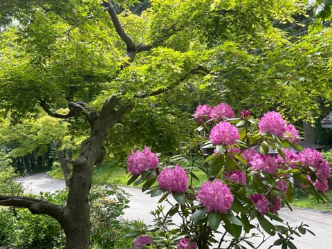 Facade/entrance, Spring, Garden, Garden view