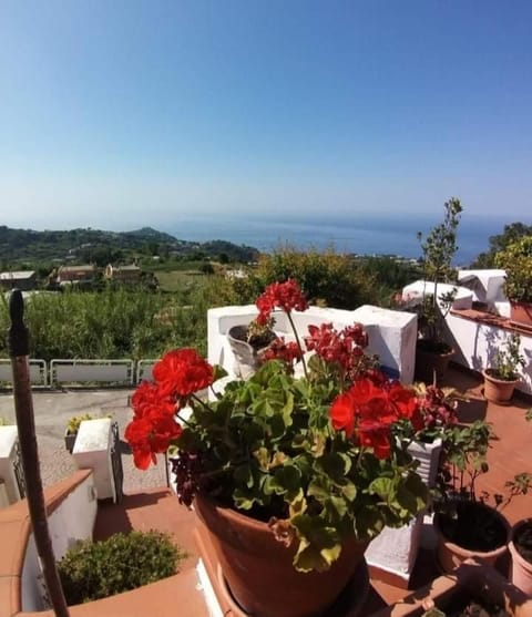 View (from property/room), Balcony/Terrace, Sea view