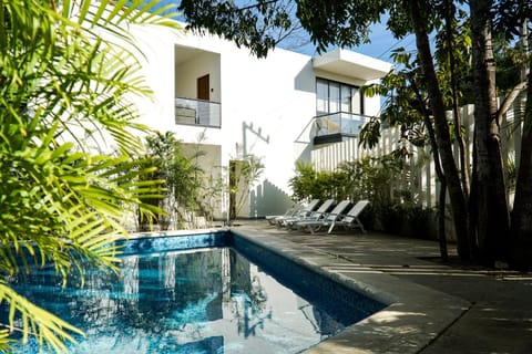 Pool view, Swimming pool