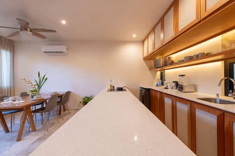 Coffee/tea facilities, Kitchen or kitchenette, minibar, air conditioner