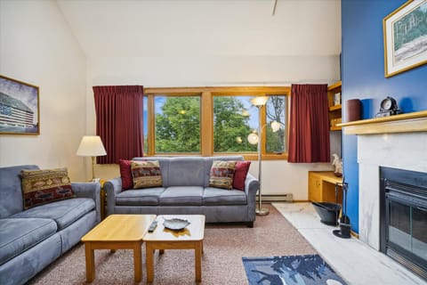 Captivating Condo, 1 bedroom with loft, sleeps 6, sports center Highridge E10 Casa in Mendon