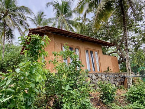 Property building, Balcony/Terrace