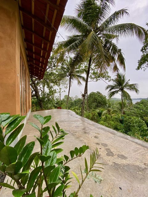 Balcony/Terrace, Garden view