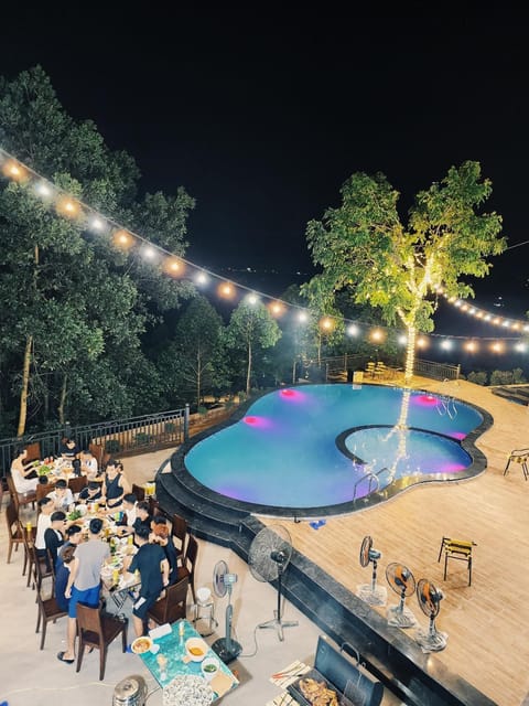 Night, Swimming pool, group of guests