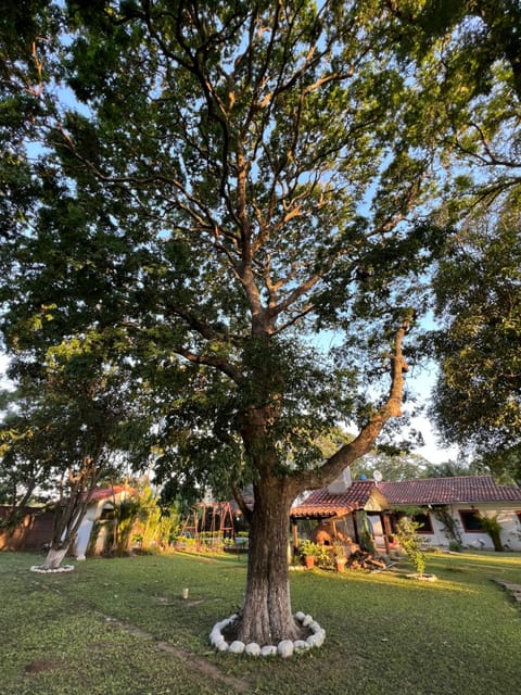 Garden, Garden view