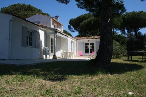 Property building, Garden view