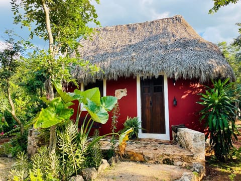 Cabañas HUNAB KU 21 Bed and Breakfast in State of Quintana Roo