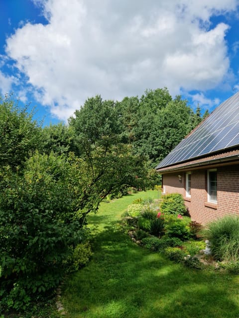 Property building, Garden, Garden, Garden view