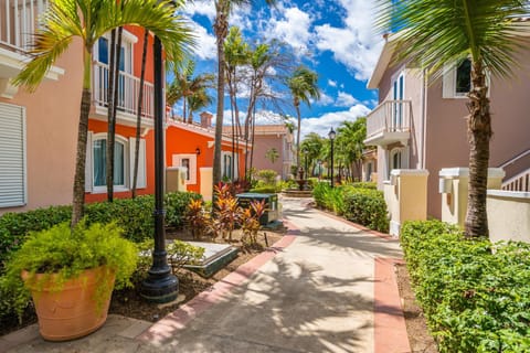 Neighbourhood, Garden, Garden view