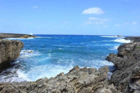~Naupaka Breeze~Ocean View w/AC- 30 day stays House in Laie