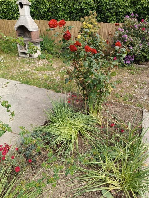 Spring, Garden, Garden view