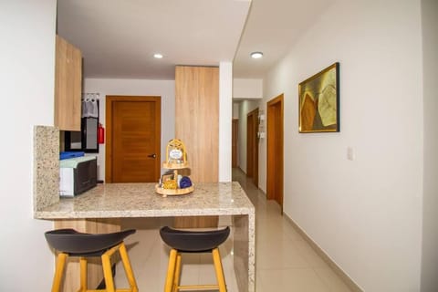 Brand New Luxury Home Condominio in Distrito Nacional