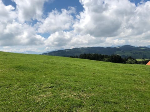 Neighbourhood, Natural landscape, Hiking