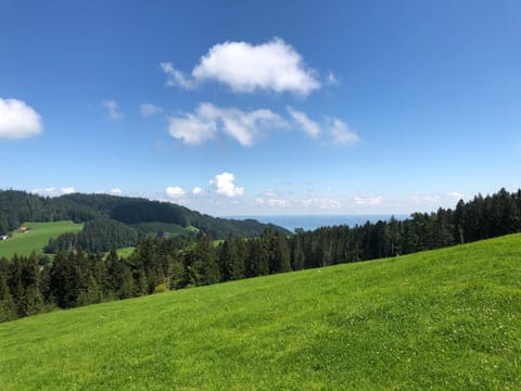 Neighbourhood, Natural landscape, Hiking