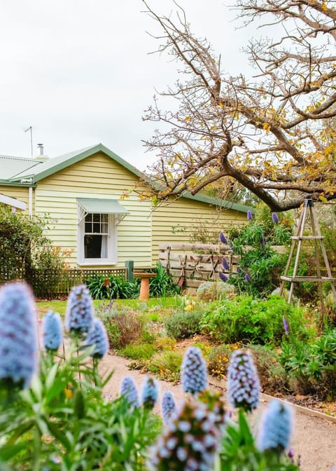 Bimbi of Flinders House in Flinders