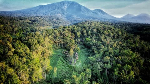 Oemah Tepi Sawah Natur-Lodge in East Selemadeg