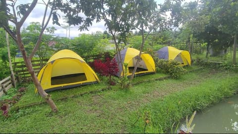 Montong Raden camping ground Landhaus in Lingsar