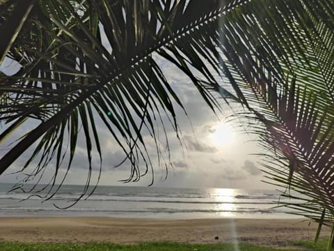 Day, Natural landscape, Beach