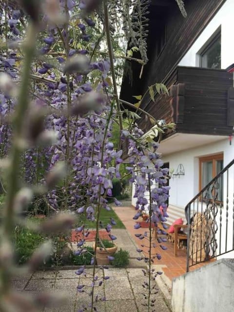 Garden, Balcony/Terrace