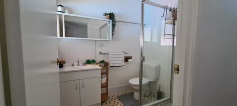 Guesthouse in fantastic location House in Brisbane