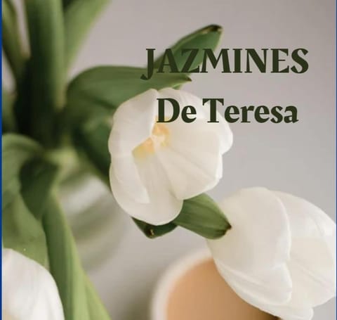 Jazmines de Teresa Condo in Maipú