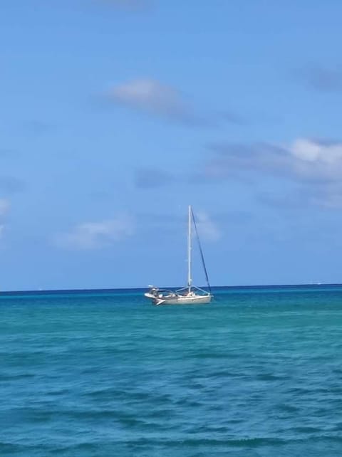 Sailboat Lena Docked boat in Fort-de-France