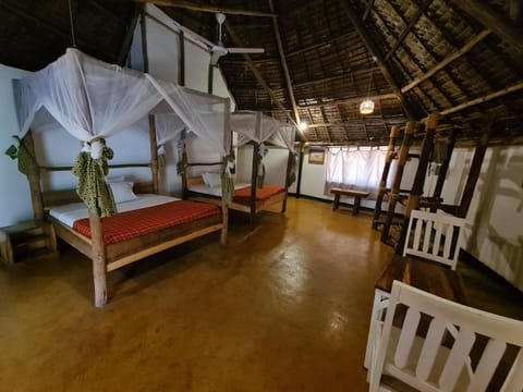 Honey Badger Lodge Hotel in Kenya